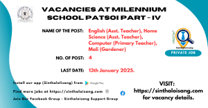 VACANCIES AT MILENNIUM SCHOOL PATSOI PART - IV